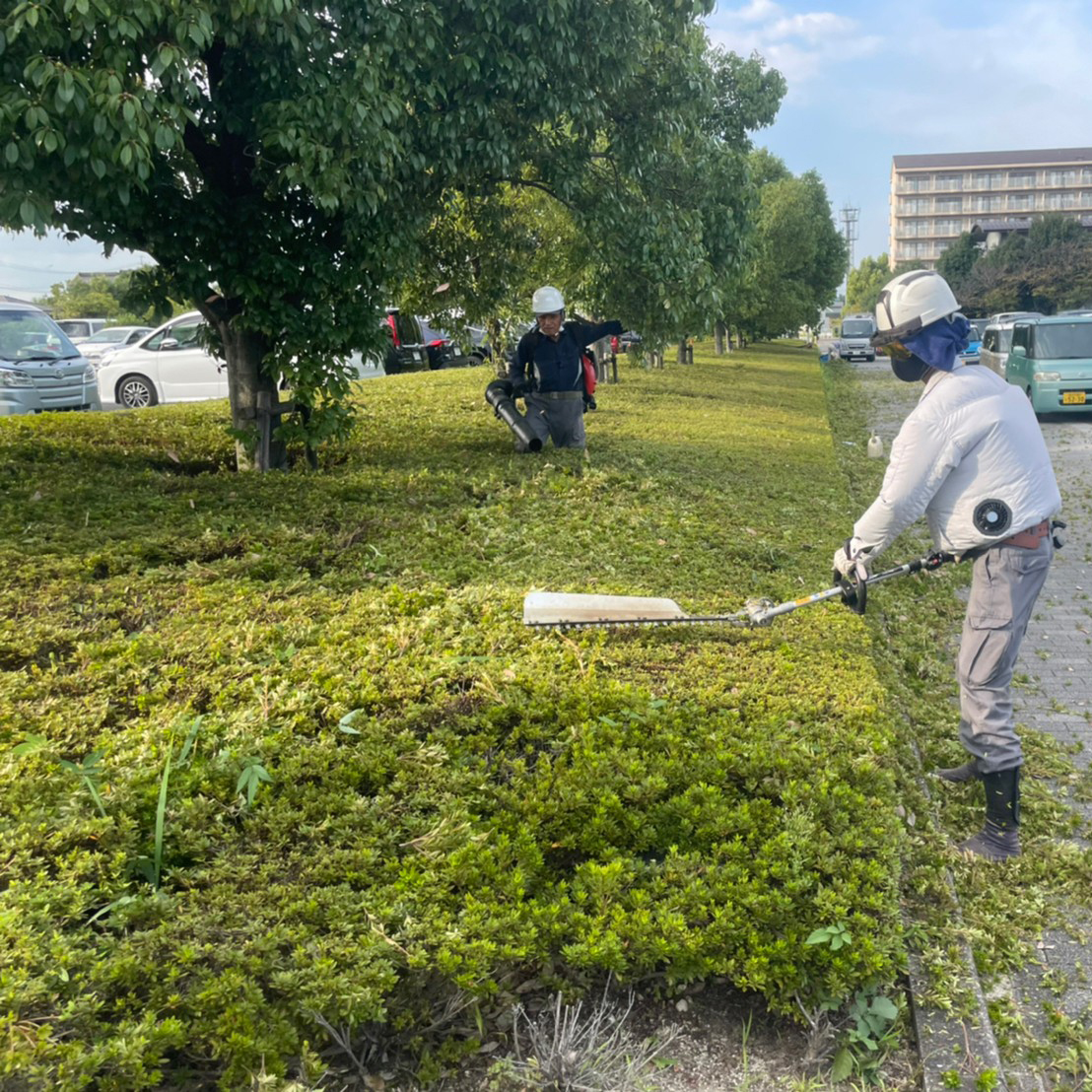 建具 ドア デザイン 製作｜職人 建具屋｜春日井 フジ美工